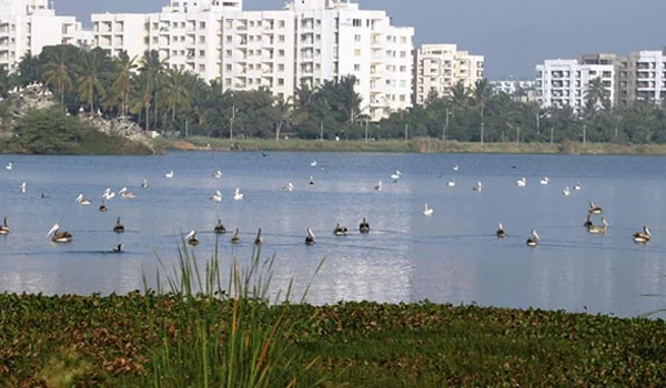 Featured Image of Jakkur Lake